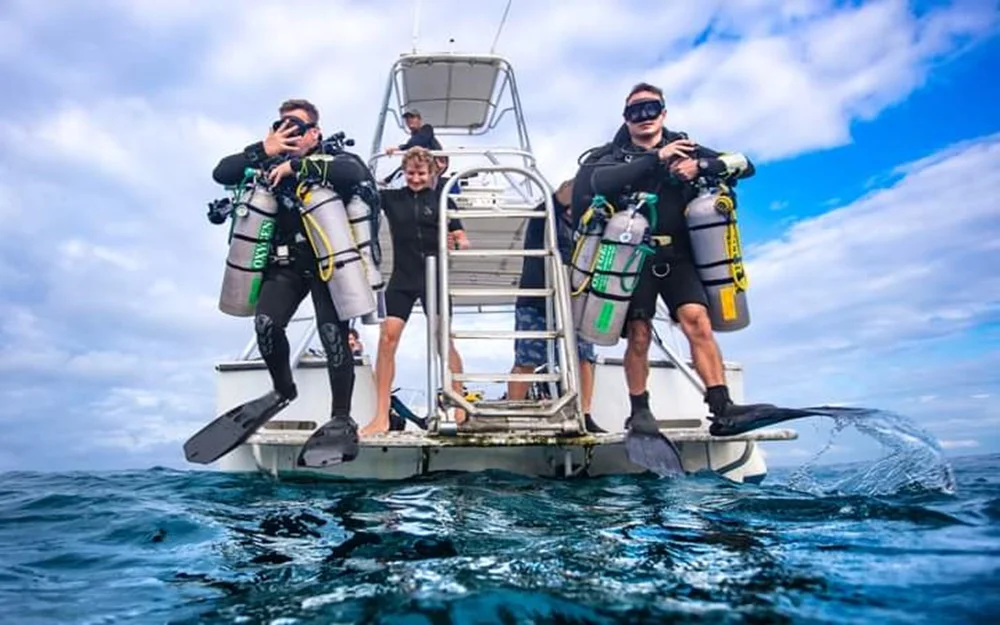 Picture of two scuba divers