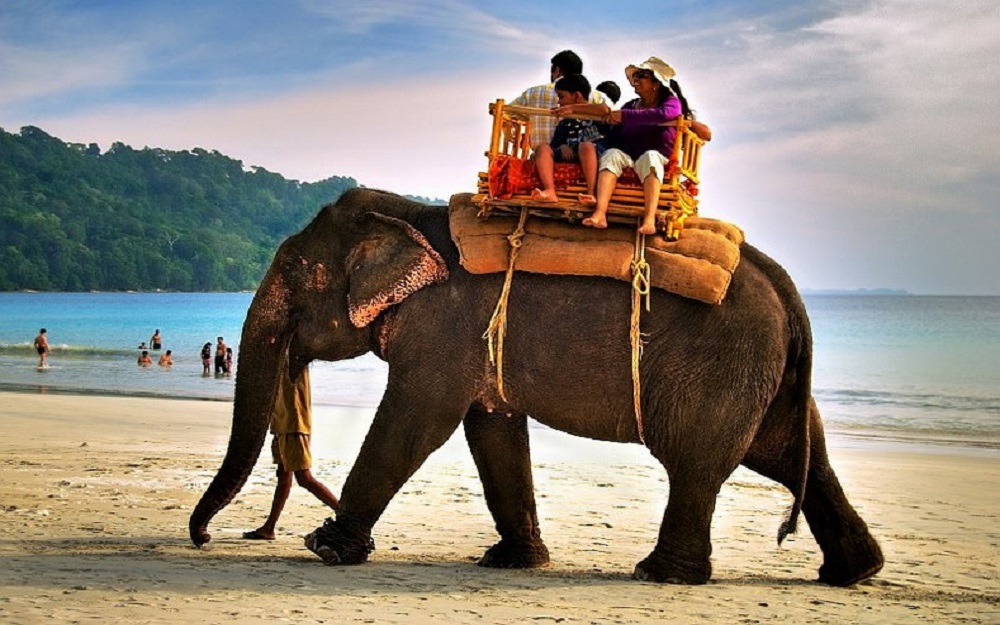 image of an elephant ride at Radhanagar Beach, Havelock