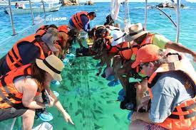 Glass Bottom Boat Ride