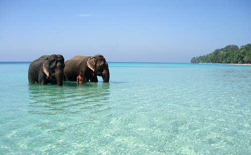 Elephanta Beach Havelock